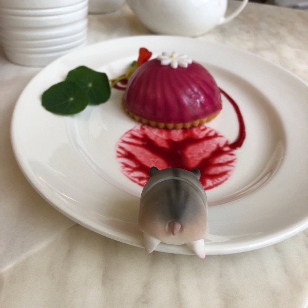 Хома в кафе — Фотоистории с куклами BJD (БЖД): сериалы