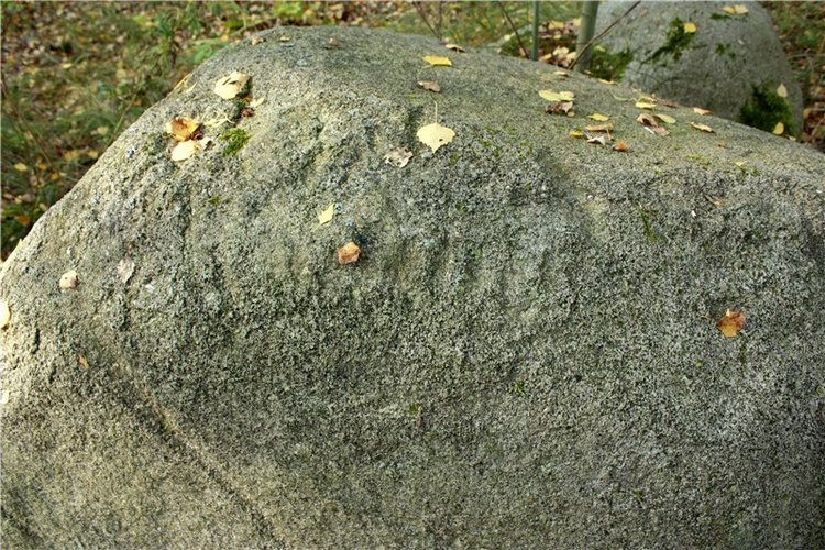 Путешествие Адель в "Сад камней". Джульетта от Sylvia Natterer (фото 4)