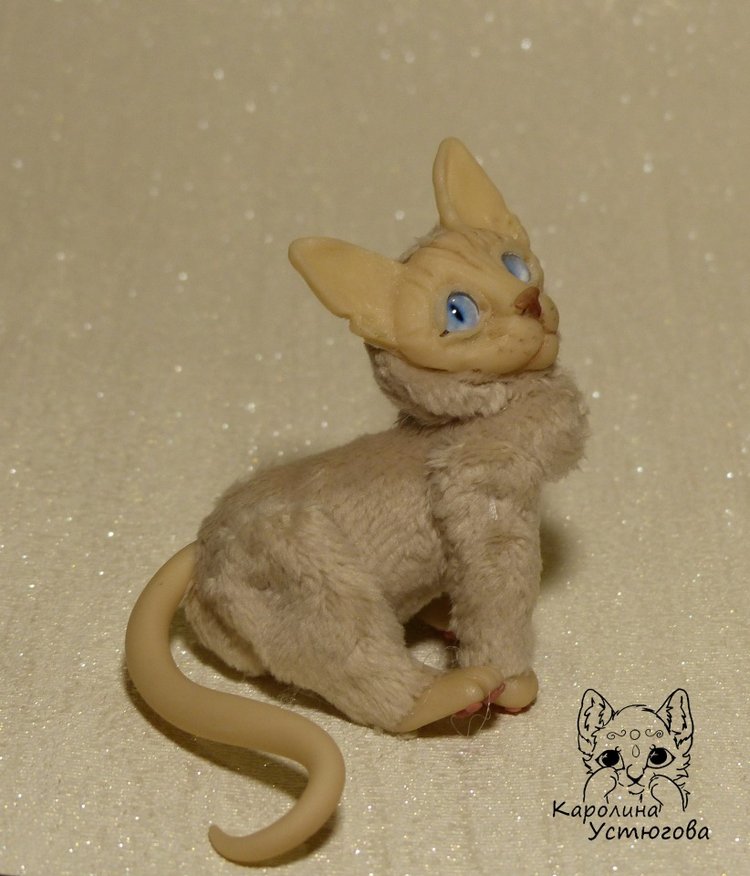 Два миниатюрных котика Сфинкса