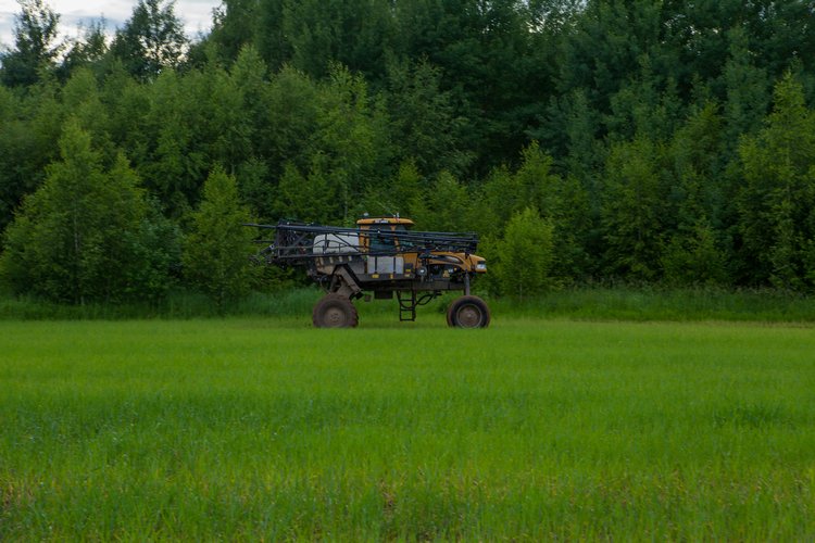 Первая поездка Мари с братьями эльфами (2 часть)
