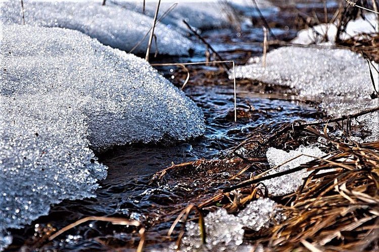 30 марта — народный праздник Алексей Теплый