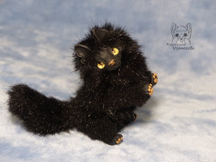 Кот породы Мейн-ку́н, черный. Я к удаче (фото 5)