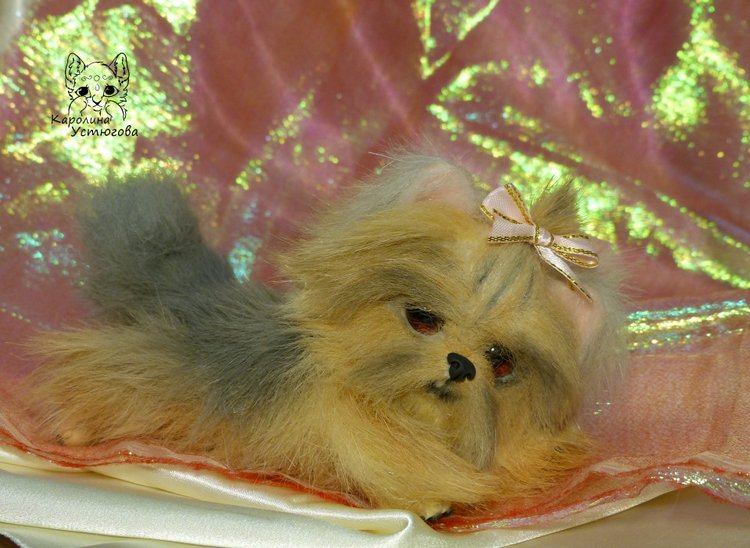 Еще один щенок Йоркширского терьера (фото 9)