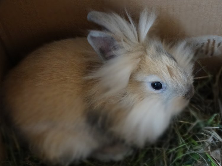 Парк Сказов — Туризм и путешествия: фотоотчеты из поездок