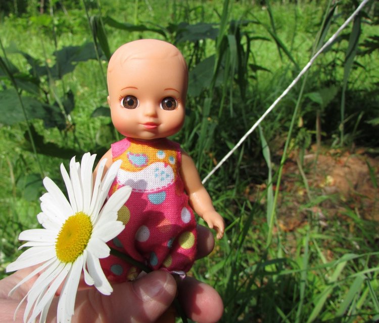 Цветы — роскошный дар природы (фото 2)