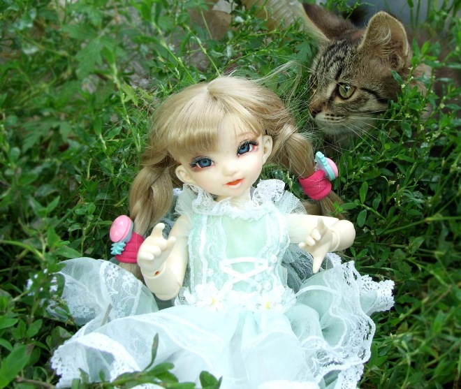 Кролики превращаются... превращаются... А котик улыбается) (фото 4)