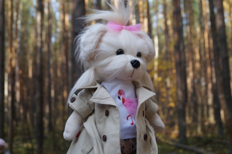 Хотите прогуляться по нашему городу? А за город - по экологической тропе