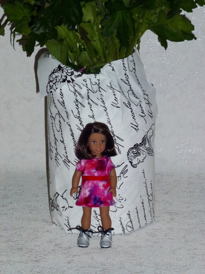 Моя новая девочка Лусиана (Luciana) от mini american girl (фото 2)