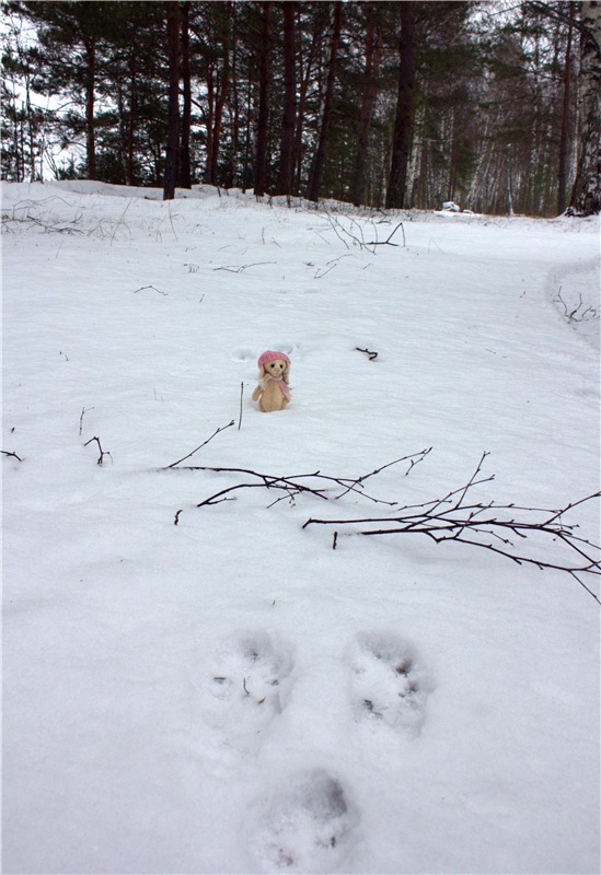 Бейли и Дий. Mini Bailey SK от Meadow dolls