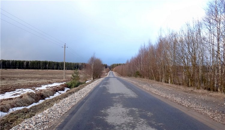 23 февраля - расцвели синие подснежники