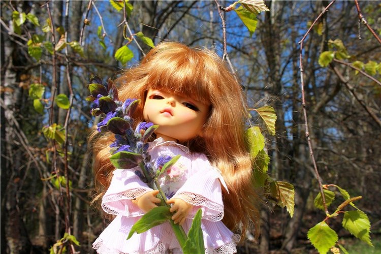 Путешествие Софи в Старицу, продолжение. Lati HoneyBee New Mystic Sophie