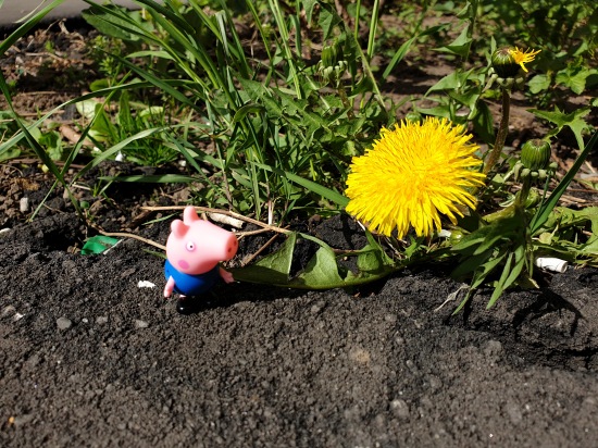 Любимые фигурки — Интересные игрушки и фигурки (разное): редкие