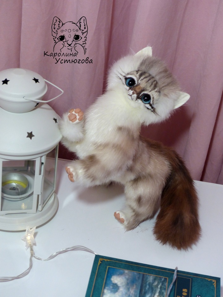 Котенок породы : Невский Маскарадный, окрас сил тэбби пойнт (фото 7)