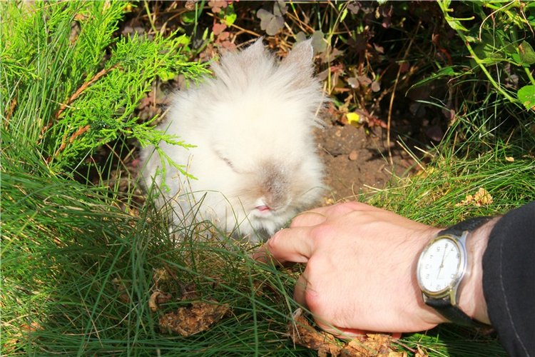 Сентябрьское путешествие в Старицу. Старицкий Свято-Успенский Монастырь