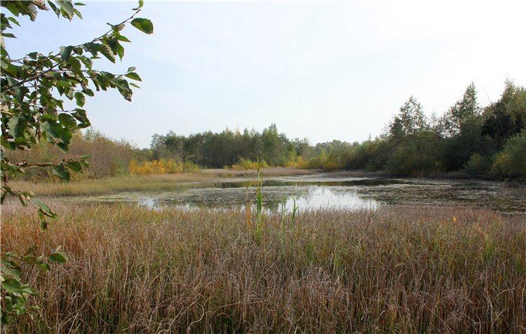 "Бабье Лето" на Водопаде, продолжение