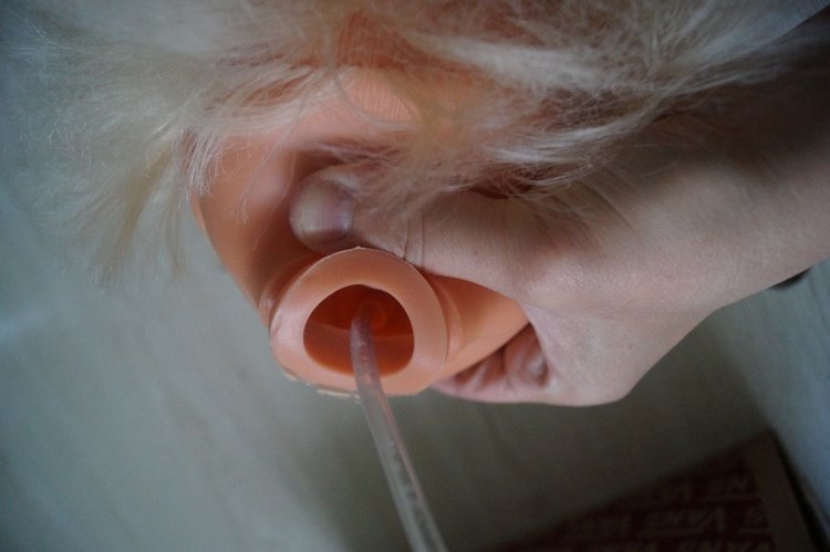 Ура! Суббота! Выписка куколок (фото 6)