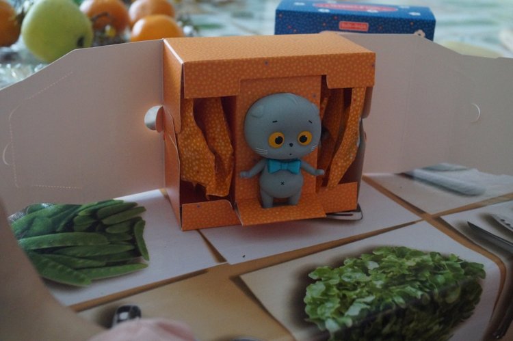 Агашина покупочка — Кот Басик (фото 6)