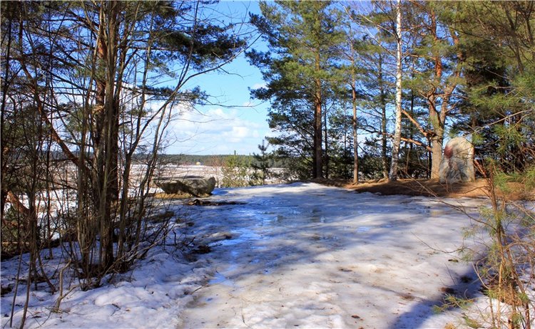 Весна в "Саду Камней" | Бэйбики Весна в "Саду Камней" — Куклы Meadow dolls (Медовушки): BJD (БЖД)