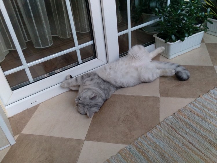 Гостей с такими подарками надо гнать поганой метлой! Или не надо