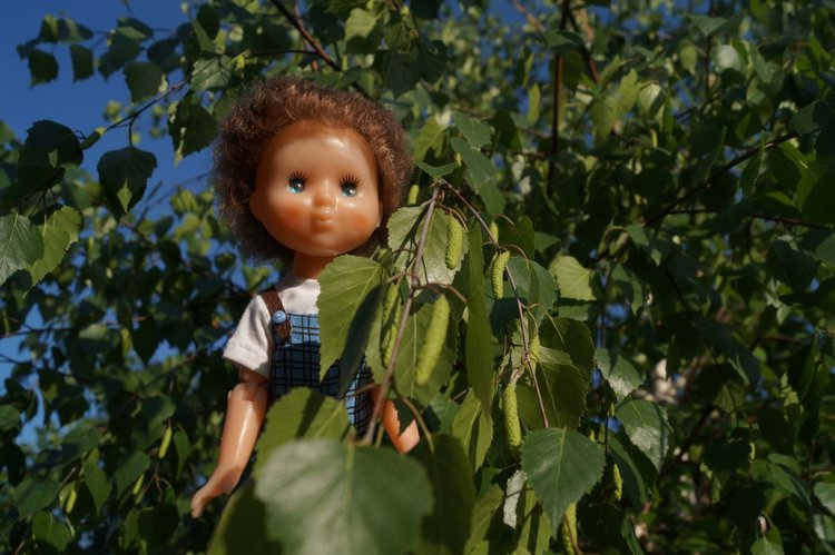 Две посылки от одной форумчанки