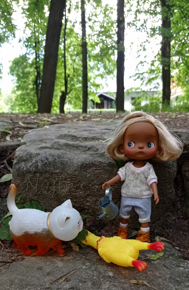 Holala Pipita Peter — Куклы Holala (Холала) от Jenny Fairytown: Pipita