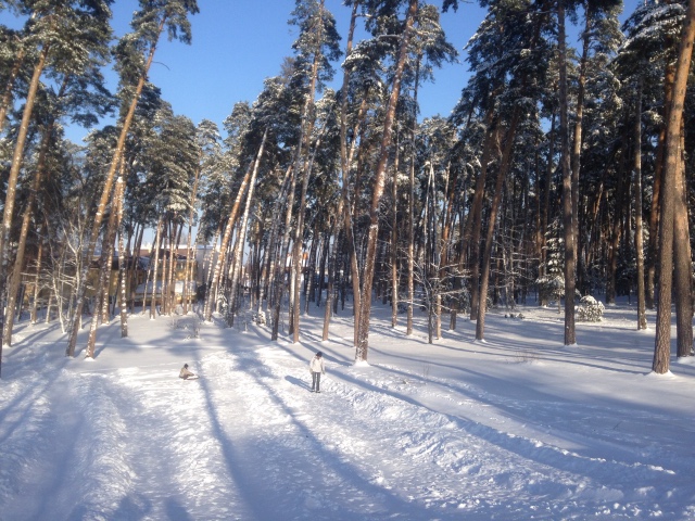 Снежная фотосессия с Licca, Takara