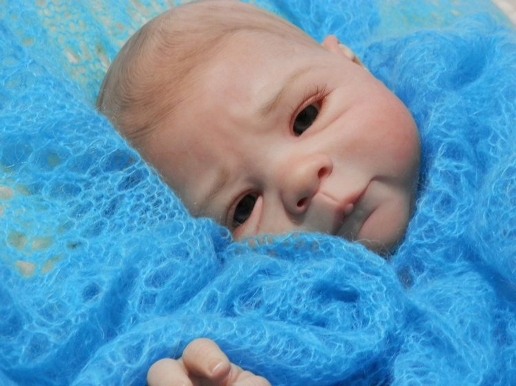 Хомячок Сили. Кукла реборн Шутовой Анны (фото 5)