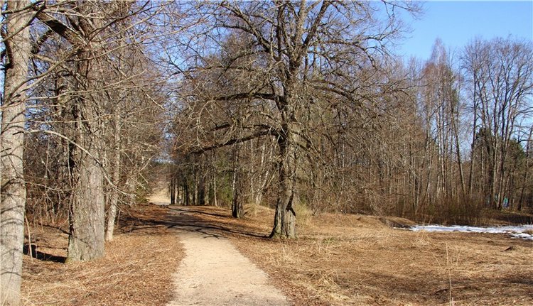 Апрельский день в Василёво, заключительная часть