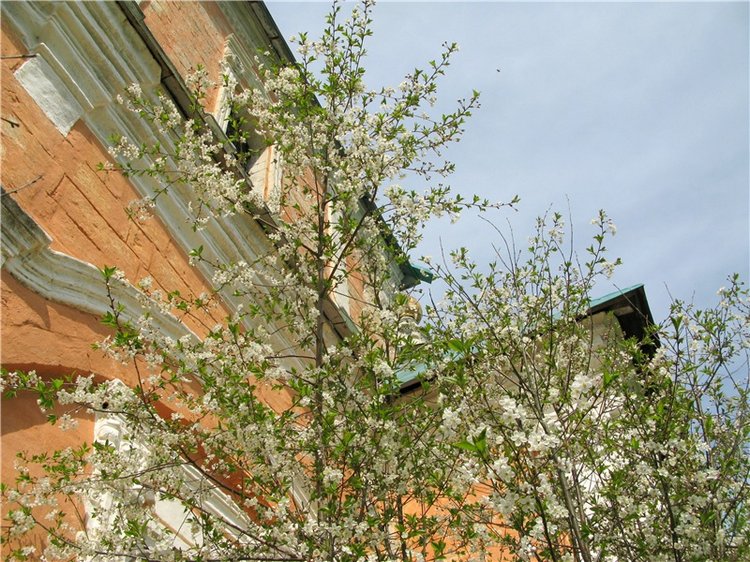 Усадьба Чукавино, Тверская область