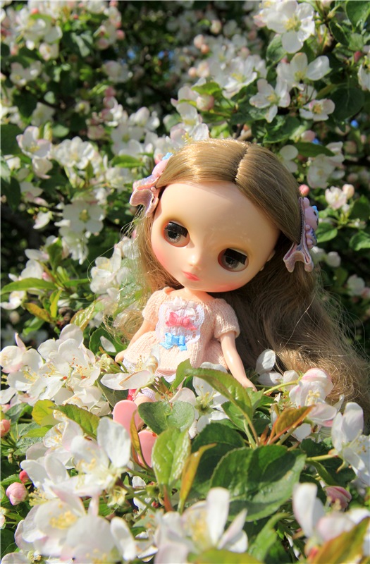 Застенчивая Алиса. Middie Blythe Doll Pebble Cakes & Shrinking Alice