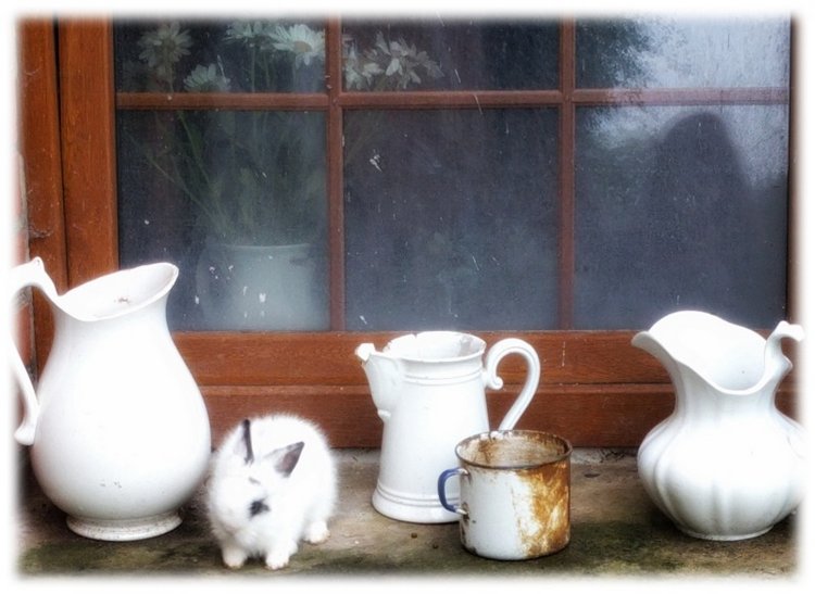 Путешествие с куклой. #2 — Куклы Kathe Kruse (Кате/Кэте Крузе): фото