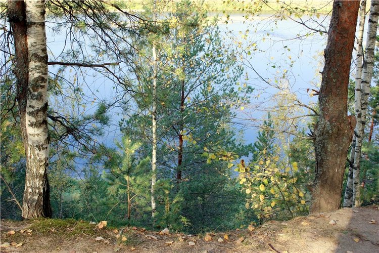 Путешествие Адель в "Сад камней". Джульетта от Sylvia Natterer