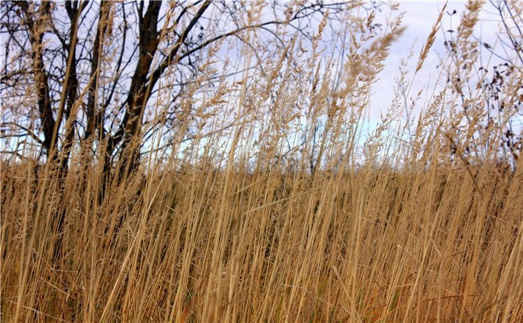 Осеннее путешествие с Мишей. Zwergnase Mischa | Бэйбики Осеннее путешествие с Мишей. Zwergnase Mischa