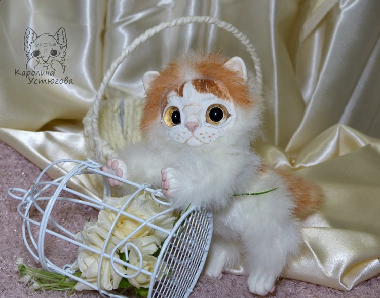 Обыкновенный котенок и его день (фото 7)