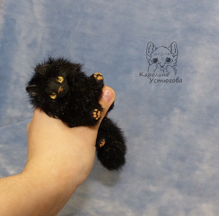 Кот породы Мейн-ку́н, черный. Я к удаче (фото 7)