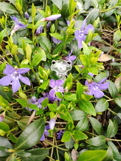 Найди меня, если сможешь — Фигурки Studio