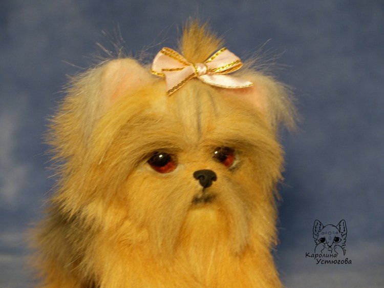 Щенок Йоркширского терьера