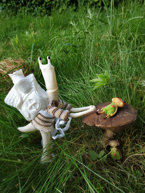 Wonderfrog. Красота в простоте