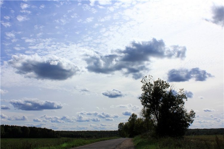 Странница во времени — Антикварные куклы Simon & Halbig (S&H): Симон Хальбиг (фото 2)