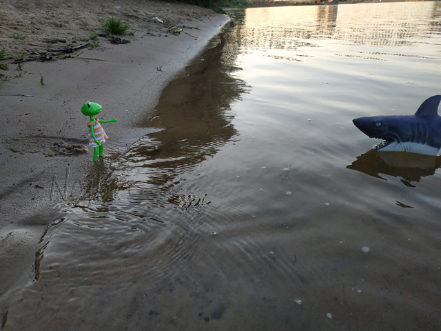 Wonderfrog. Красота в простоте. Часть 3