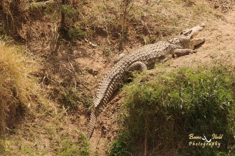 Любителям природы - профессиональные фотографии (выпуск 4)