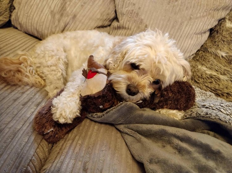 Любительские фотографии Ежей (выпуск 1) | Бэйбики Любительские фотографии Ежей (выпуск 1)