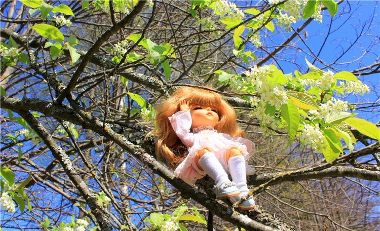 Путешествие Софи в Старицу, продолжение. Lati HoneyBee New Mystic Sophie