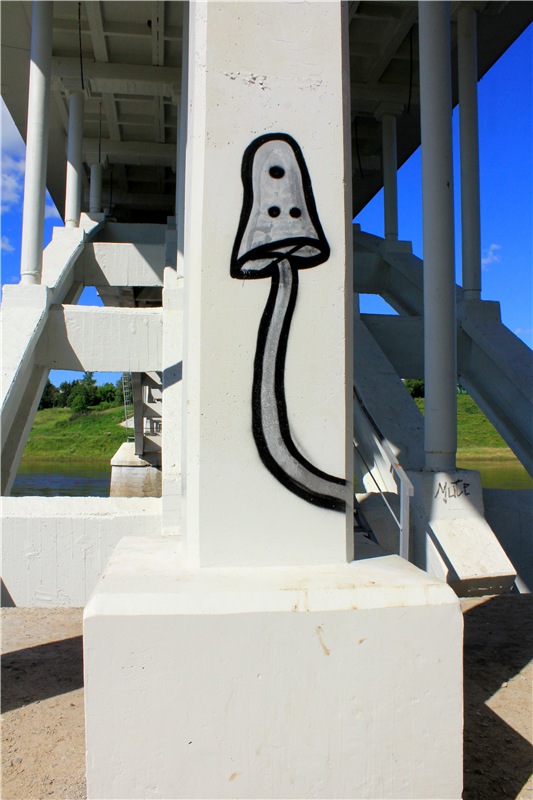 Тайны Древней Старицы — Культура