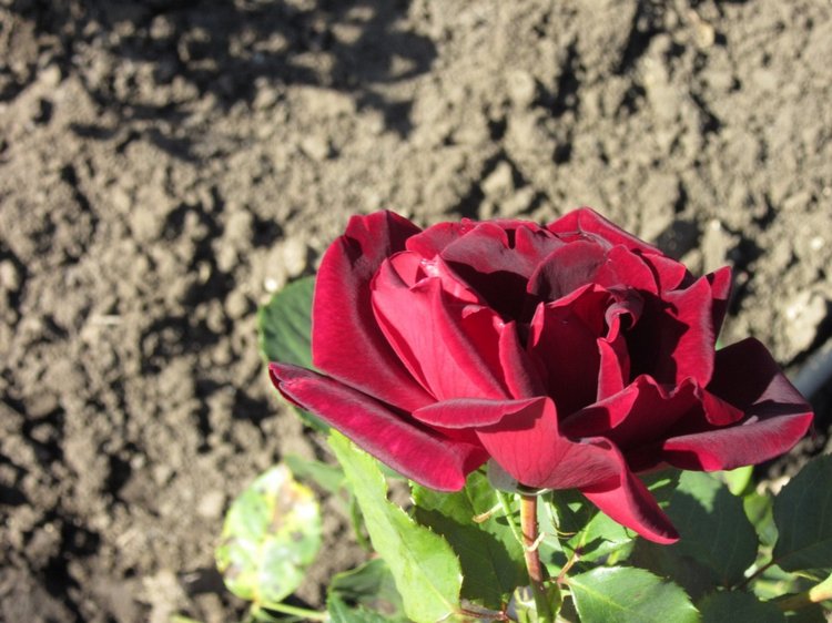 Горячее солнышко Кисловодска