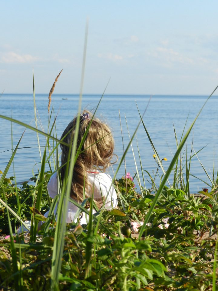 Немного позитива с Финского залива