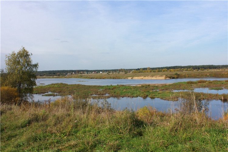 Путешествие Имани на Волгу, продолжение. Mini Imani от Kaye Wiggs