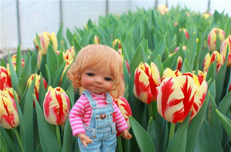 Выставка тюльпанов в Твери