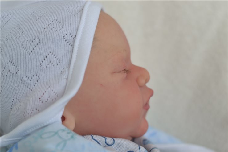 Малыши реборн, молд Yannies от Gudrun Legler