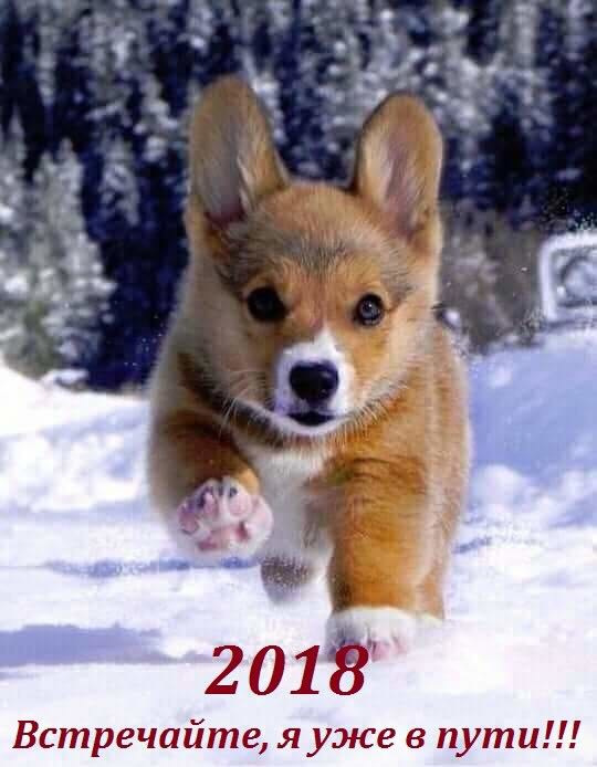 Как мы ёлочки наряжали — Домашние коллекции кукол: фото собраний